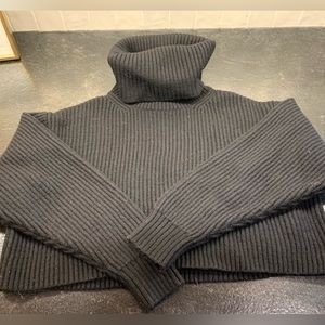 Aritizia- Cropped black turtleneck sweater